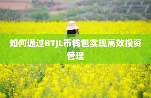 如何通过BTJL币钱包实现高效投资管理