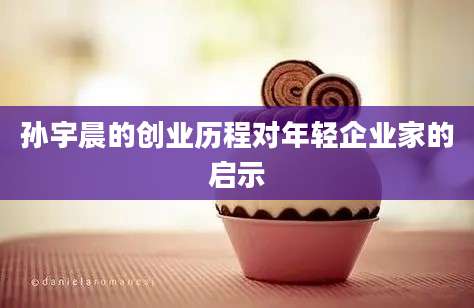 孙宇晨的创业历程对年轻企业家的启示