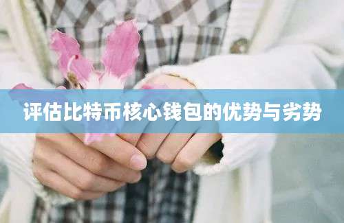 评估比特币核心钱包的优势与劣势