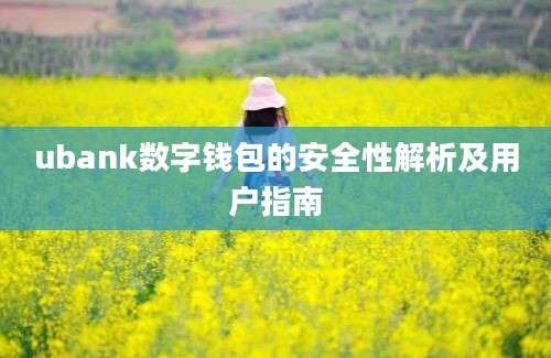 ubank数字钱包的安全性解析及用户指南