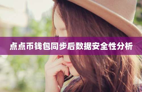 点点币钱包同步后数据安全性分析