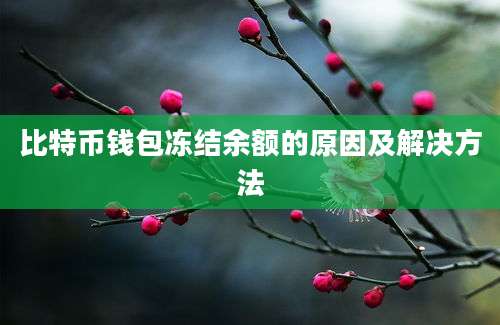 比特币钱包冻结余额的原因及解决方法