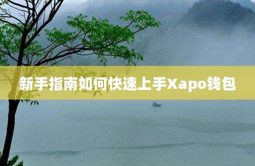 新手指南如何快速上手Xapo钱包