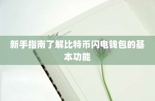 新手指南了解比特币闪电钱包的基本功能