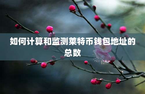如何计算和监测莱特币钱包地址的总数