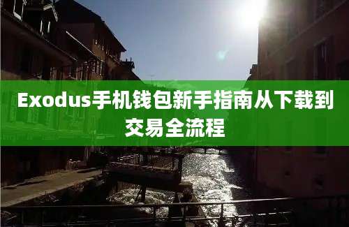 Exodus手机钱包新手指南从下载到交易全流程