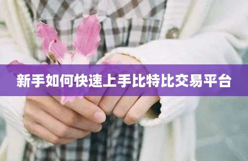 新手如何快速上手比特比交易平台