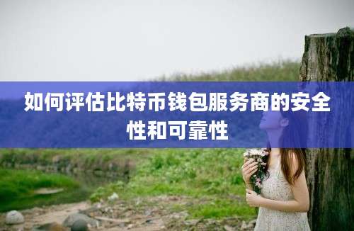 如何评估比特币钱包服务商的安全性和可靠性